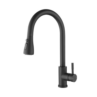 Kitchen Faucet with Pull Out Spraye