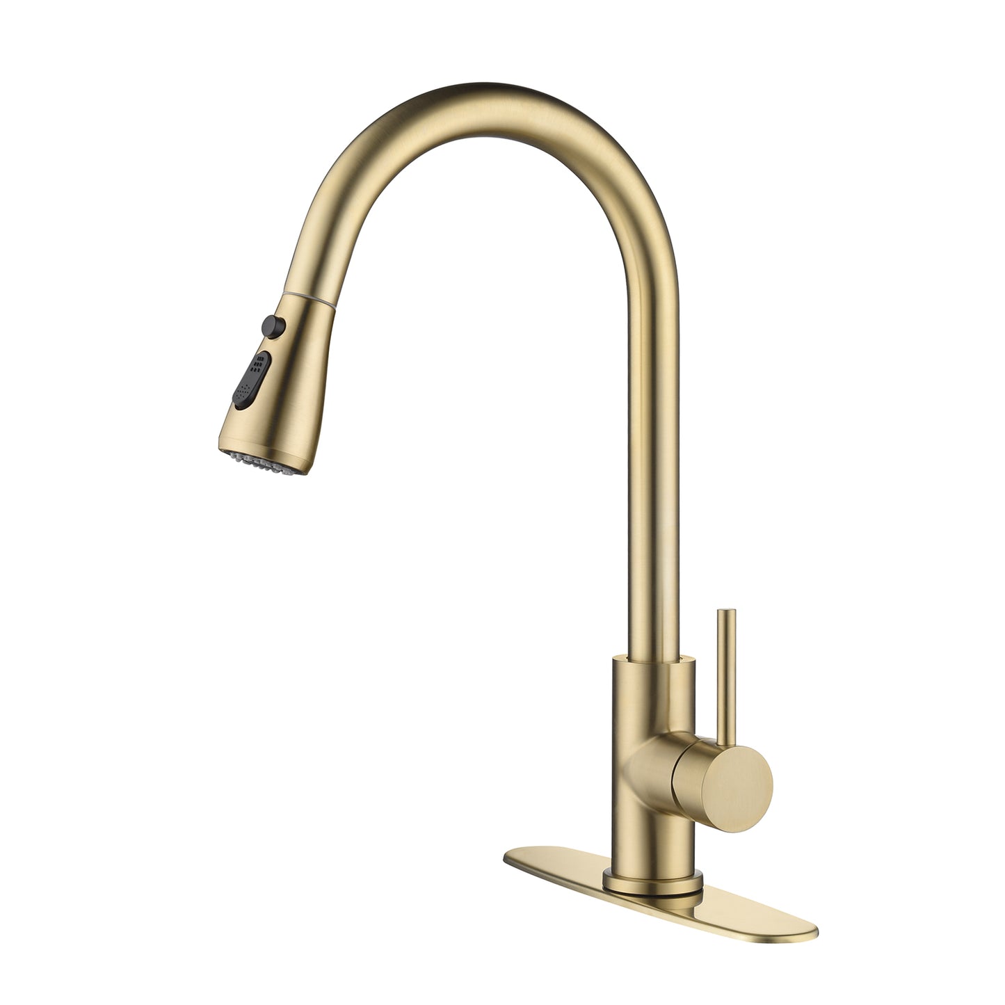 Kitchen Faucet with Pull Out Spraye