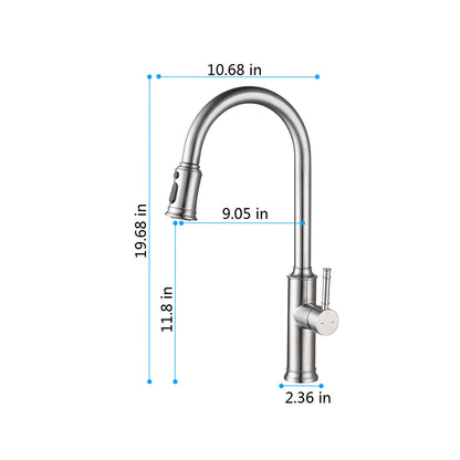 Kitchen Faucet with Pull Out Spraye