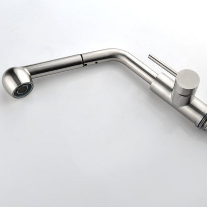 Single-Handle Pull-Out Sprayer Kitchen Faucet in Stainless