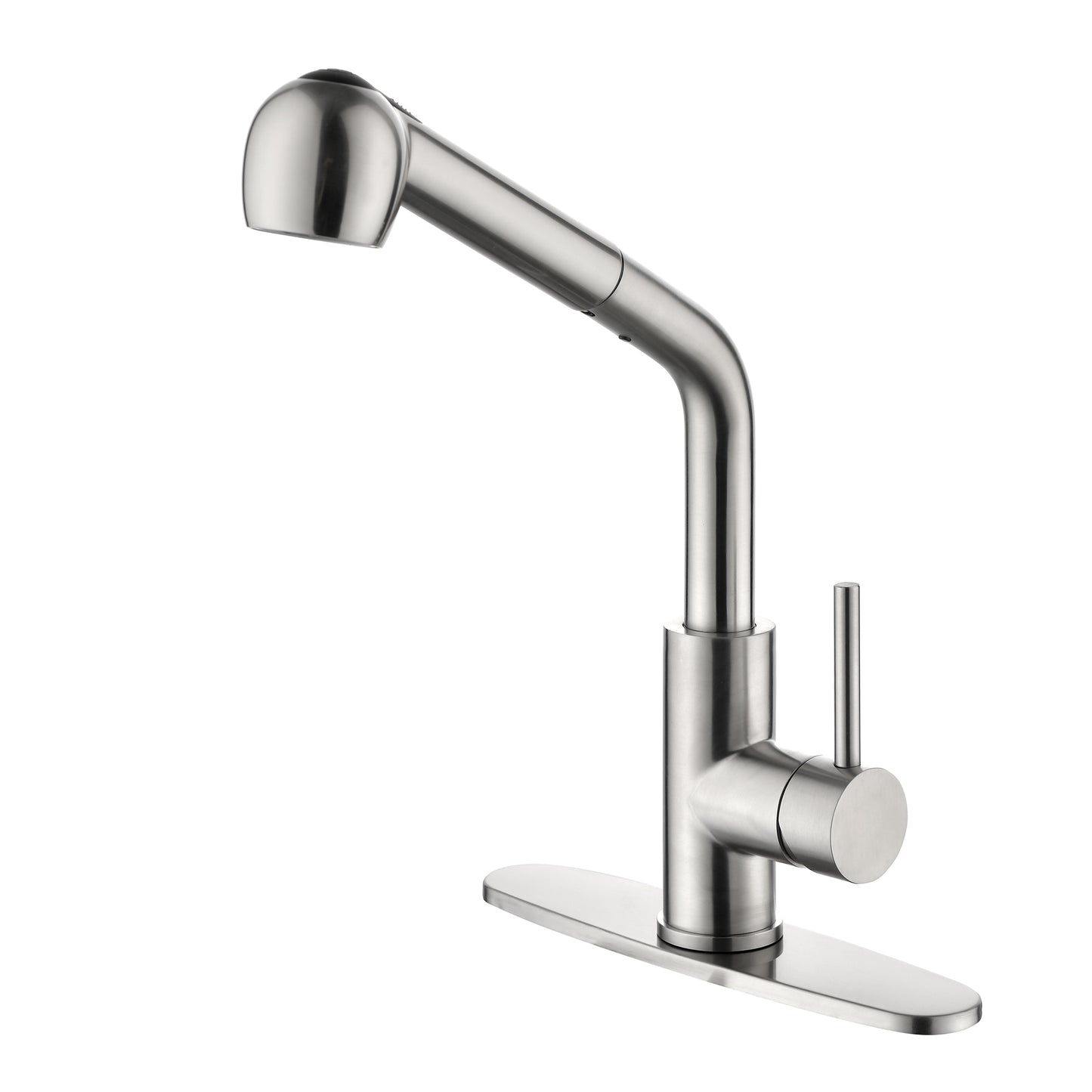 Single-Handle Pull-Out Sprayer Kitchen Faucet in Stainless