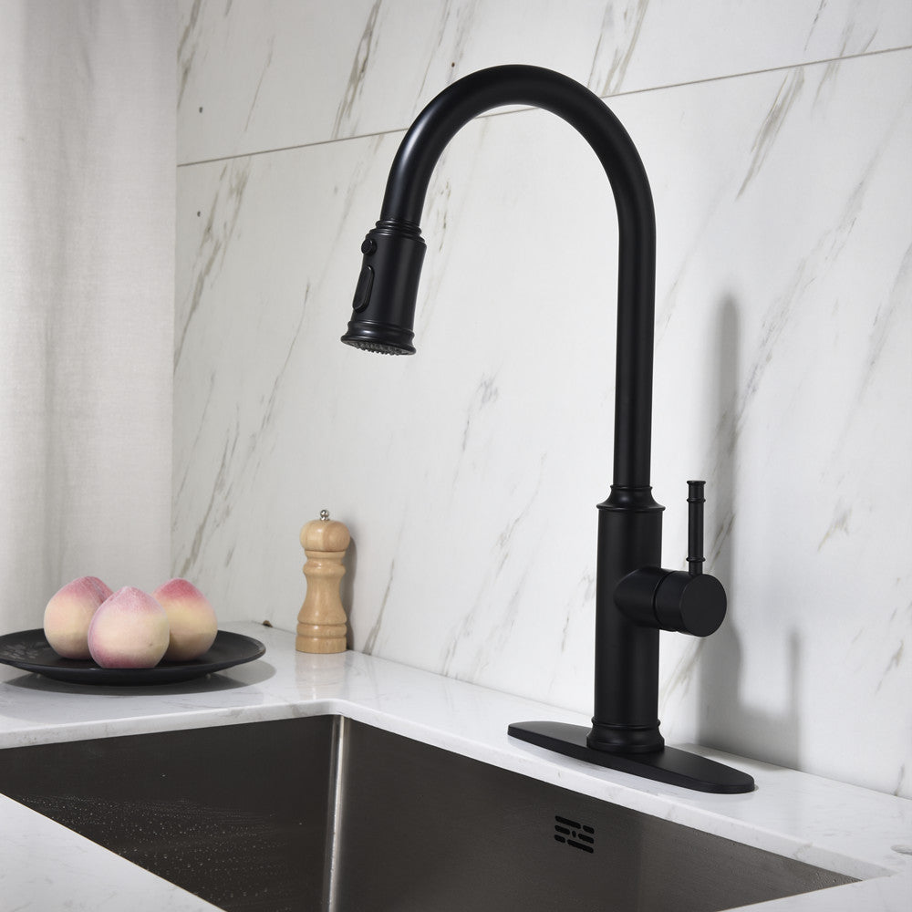 Single Handle Pull Down Kitchen Faucet with Dual Function Sprayhead