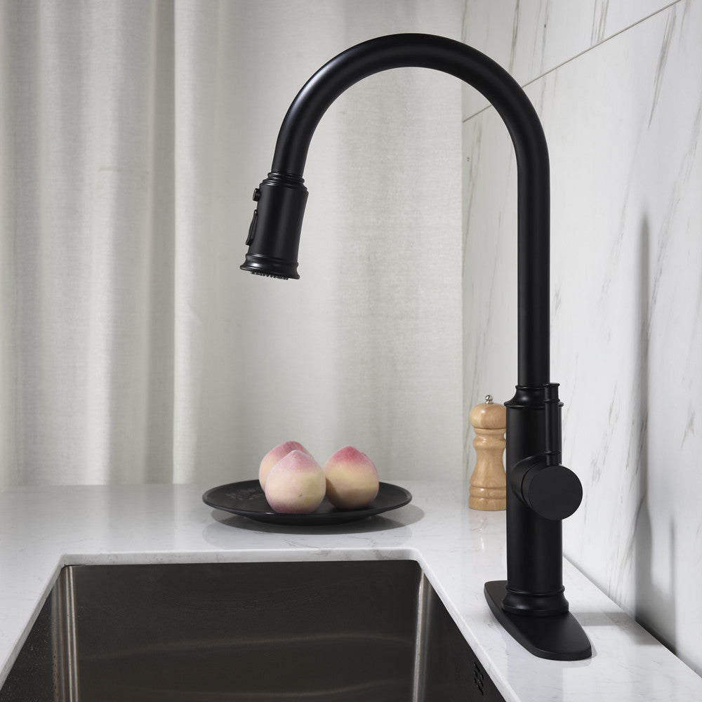 Single Handle Pull Down Kitchen Faucet with Dual Function Sprayhead