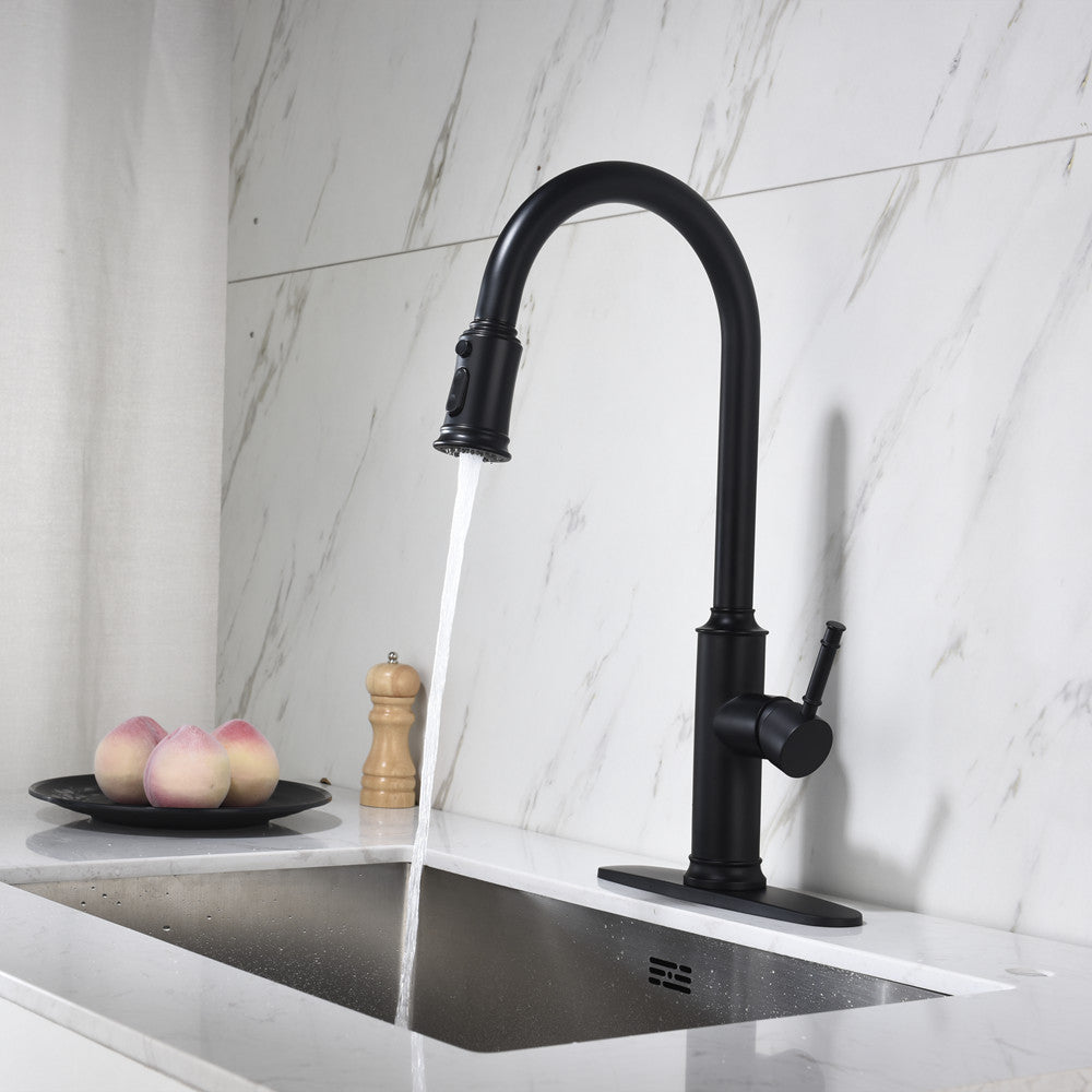 Single Handle Pull Down Kitchen Faucet with Dual Function Sprayhead