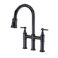 Pull Down Double Handle Kitchen Faucet