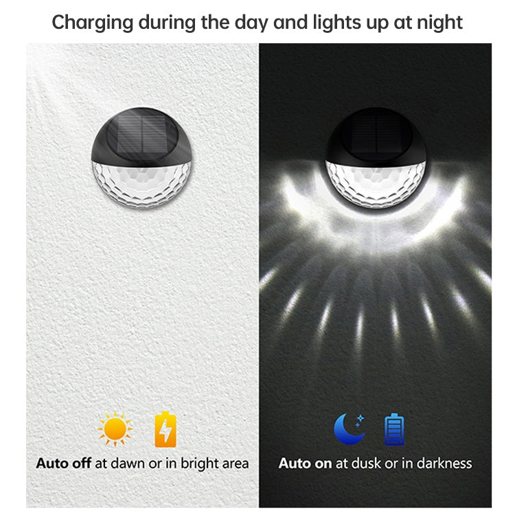 LED2183_4.jpg@e2ca99e36b056f45d10b1a1c40b8b5b6